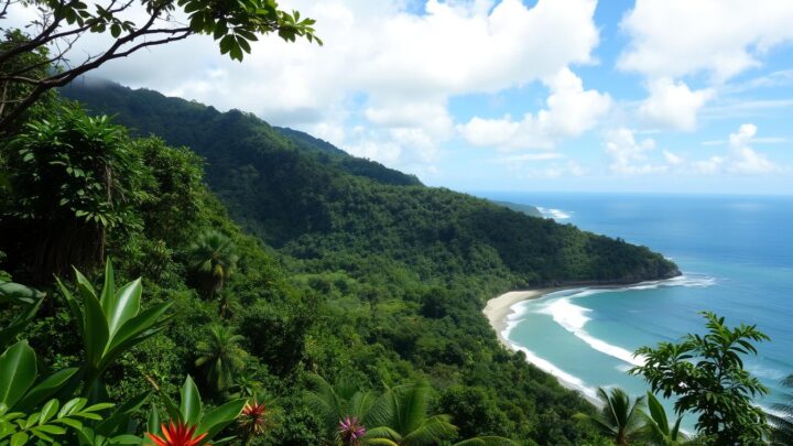 Costa Rica Wetter im März – Regenwald & Pazifikküste